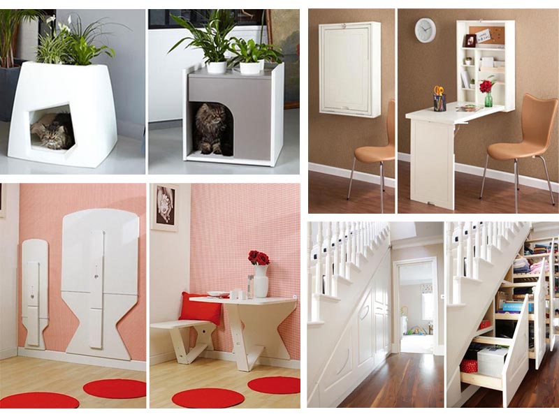 do noi that thong minh 24